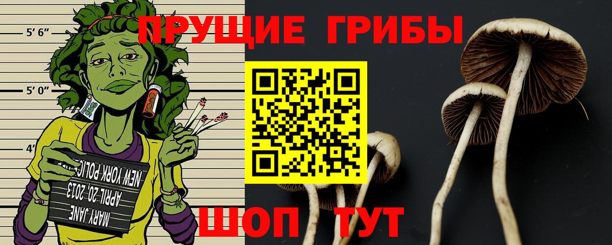 Большой Камень  Псилоцибиновые грибы ЛСД  Вход с VPN 